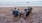 a group of people sitting in chairs on a beach